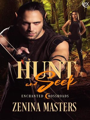 cover image of Hunt and Seek